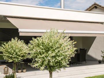 Select / Select Ombramatic